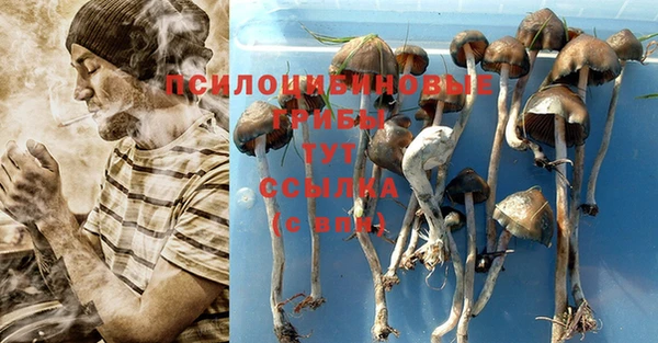 MDMA Арсеньев