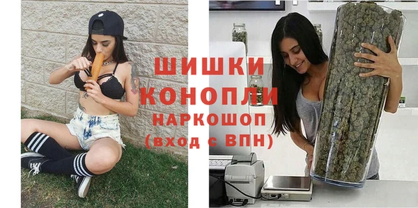 ГАЛЛЮЦИНОГЕННЫЕ ГРИБЫ Аркадак