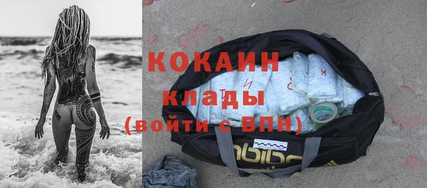 ГАЛЛЮЦИНОГЕННЫЕ ГРИБЫ Аркадак