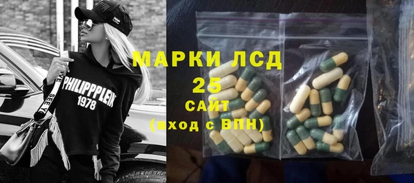ГАЛЛЮЦИНОГЕННЫЕ ГРИБЫ Аркадак