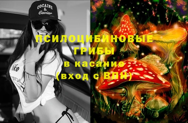 ГАЛЛЮЦИНОГЕННЫЕ ГРИБЫ Аркадак