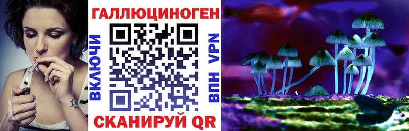где можно купить наркотик Озёры кракен ссылки Галлюциногенные грибы Psilocybine cubensis